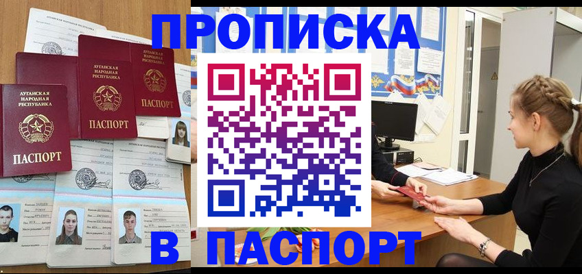 прописка поиск в Щёлково